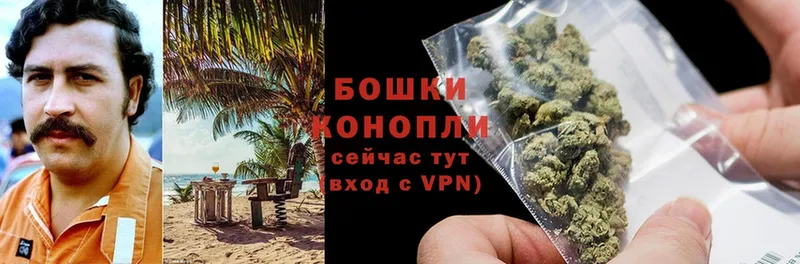 кракен вход  Орехово-Зуево  Шишки марихуана OG Kush 